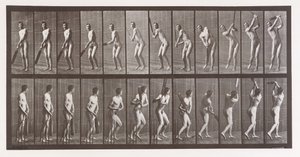 Animal Locomotion. An Electro-Photographic Investigation of Consecutive Phases of Animal, 1880s