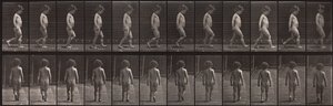 Animal Locomotion, Plate 467 by Eadweard Muybridge