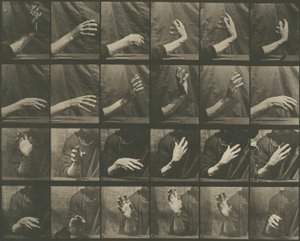 Animal Locomotion, Plate 535 by Eadweard Muybridge