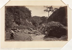 Barranca of Ynsiensi, Guatemala by Eadweard Muybridge