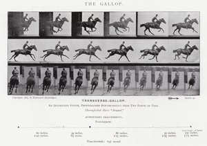 Eadweard Muybridge: The Gallop by Eadweard Muybridge