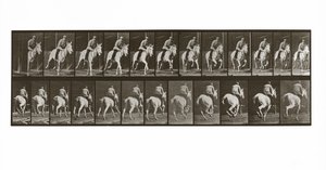Galloping Horse with Rider, Plate 635 from Animal Locomotion
