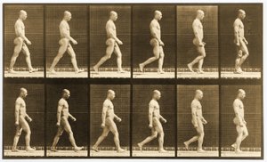 Image sequence of a nude man walking, 