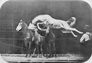 Jumping over three horses...chestnut horse Hornet, from 