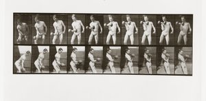 Man lifting a dumbbell, Plate 324 from Animal Locomotion