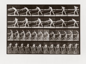 Man planing wood, Plate 379 from Animal Locomotion by Eadweard Muybridge
