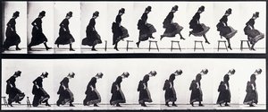 Motion Study by Eadweard Muybridge