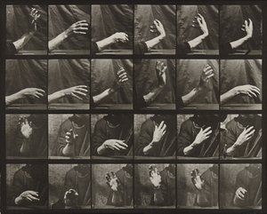 Movement of the Hand; Beating Time by Eadweard Muybridge