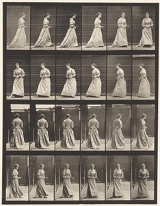 Turning and Ascending Stairs by Eadweard Muybridge