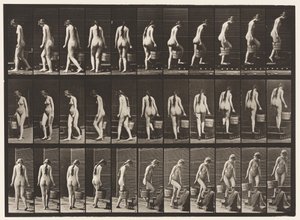 Turning and Ascending Stairs, Bucket Water in Right Hand by Eadweard Muybridge