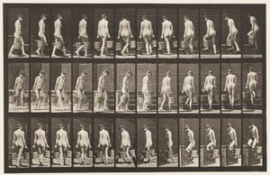 Turning and Ascending Stairs, Bucket Water in Each Hand by Eadweard Muybridge