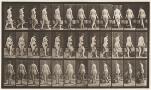 Turning to Ascend Stairs, Bucket of Water in Each Hand by Eadweard Muybridge