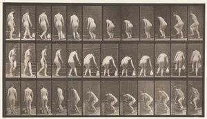 Turning to Ascend Stairs, Stooping, Lifting a Pitcher by Eadweard Muybridge