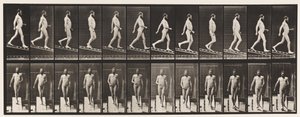 Descending Incline, 1 in 4 by Eadweard Muybridge