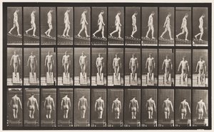 Plate 114. Descending Incline, Angle 1 in 4 by Eadweard Muybridge