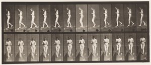 Plate 115. Descending Incline with Hands Clasped in Front by Eadweard Muybridge