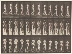 Plate 116. Descending Incline, One Hand On Chin by Eadweard Muybridge