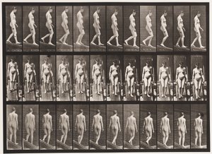 Descending Incline by Eadweard Muybridge