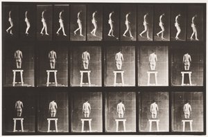 Plate 118. Descending Incline by Eadweard Muybridge