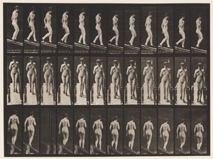 Plate 119. Descending Incline, Right Hand on Breast by Eadweard Muybridge
