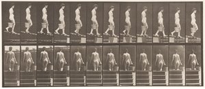 Descending Incline, Bucket of Water in Right Hand by Eadweard Muybridge