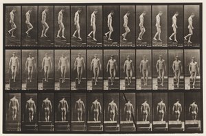 Plate 125. Descending Stairs by Eadweard Muybridge