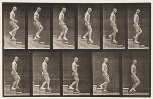 Plate 126. Descending Stairs by Eadweard Muybridge