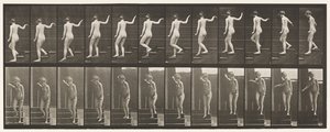 Plate 132. Descending Stairs, Turning to Look Around & Waving Hand by Eadweard Muybridge