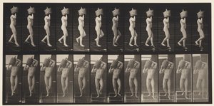 Descending Stairs Full Demijohn on Shoulder, 1872-1885 by Eadweard Muybridge