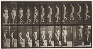 Descending Stairs, Turning Around by Eadweard Muybridge