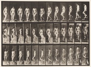Descending Stairs Turning; Pitcher in Left Hand by Eadweard Muybridge