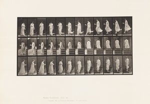 Plate 143. Descending Incline, Turning Cup & Saucer in Right Hand by Eadweard Muybridge
