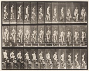 Descending Stairs; Turning Bucket Water in Right Hand by Eadweard Muybridge