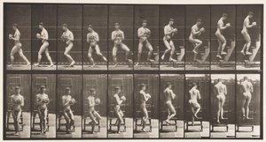 Plate 151. Descending Step Ladder, Turning Around, Rock in Hands