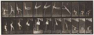 Plate 164. Jumping; Pole Vaulting by Eadweard Muybridge