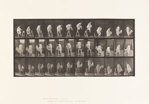 Stepping on a Trestle; Jumping Down, Turning by Eadweard Muybridge