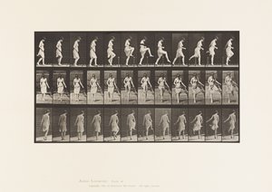 Stepping Over a Fence by Eadweard Muybridge