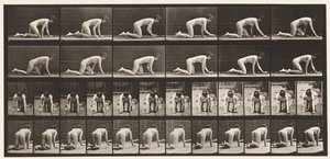 Plate 182. Crawling On Hands and Knees by Eadweard Muybridge
