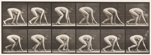 Plate 183. Walking on Hands and Feet by Eadweard Muybridge
