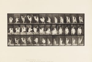 Plate 193. Dancing (Fancy) by Eadweard Muybridge