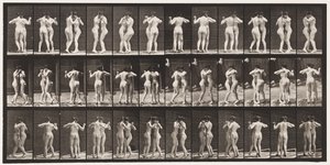 Plate 196. Dancing Waltz, Two Models by Eadweard Muybridge