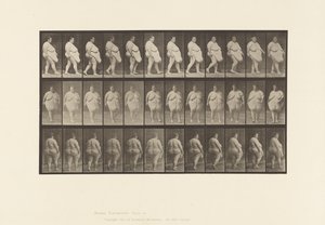 Walking, Commencing to Turn Around (Plate 19) by Eadweard Muybridge