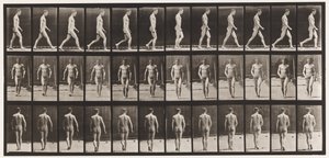 Plate 1. Walking by Eadweard Muybridge