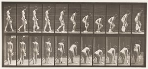 Plate 202. Dropping and Lifting a Handkerchief by Eadweard Muybridge