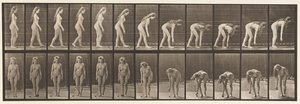 Stopping to Pick Up Ball by Eadweard Muybridge