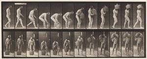 Plate 218. Stooping, and Lifting Full Demijohn to Shoulder by Eadweard Muybridge