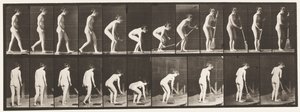 Plate 219. Stooping and Lifting Broom and Sweeping by Eadweard Muybridge