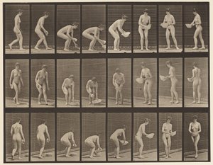 Stooping and Lifting Basin, Wiping it, and Turning by Eadweard Muybridge