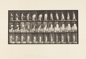 Plate 229. Placing Basket on the Ground and Turning by Eadweard Muybridge