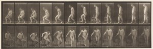 Plate 236. Placing Chair and Sitting Down by Eadweard Muybridge